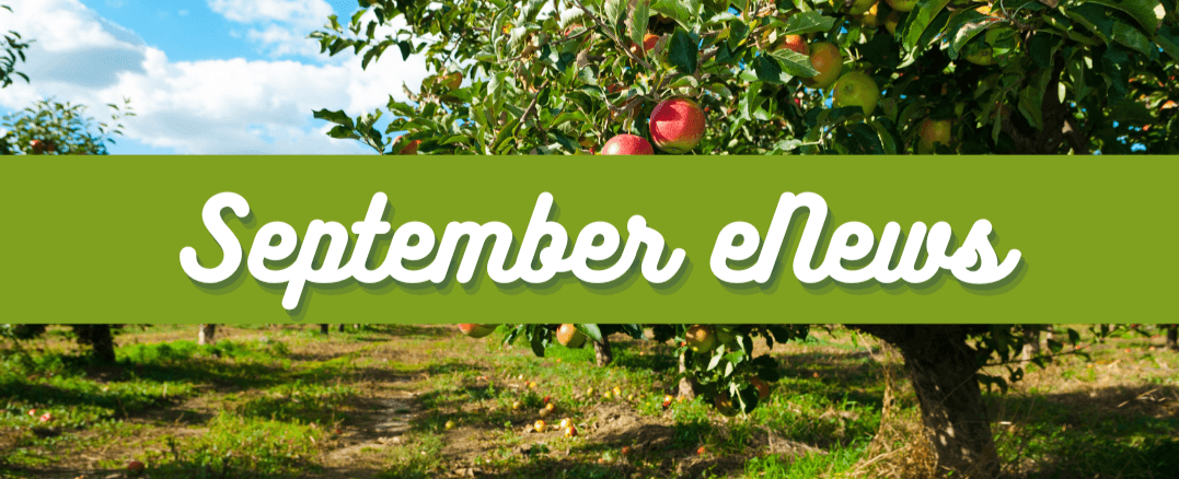 Read more about the article September eNews