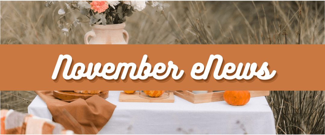 Read more about the article November eNews