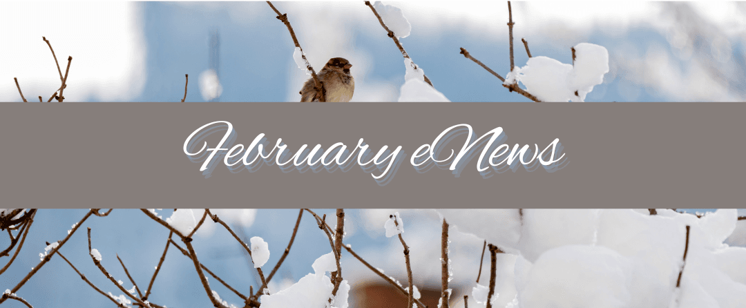 Read more about the article February eNews