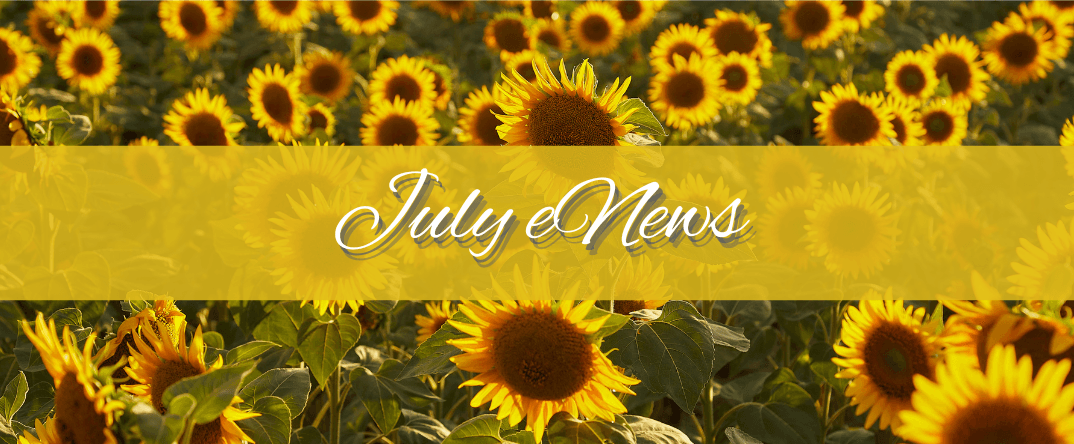 Read more about the article July eNews